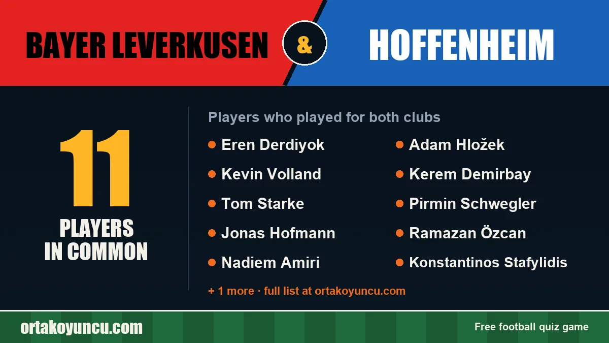 Players who played for both Bayer Leverkusen and Hoffenheim: 11 players