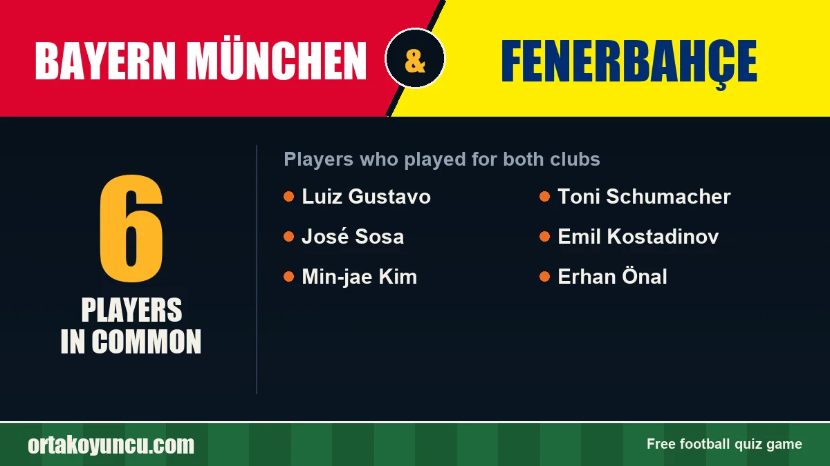 Players who played for both Bayern München and Fenerbahçe: 6 players