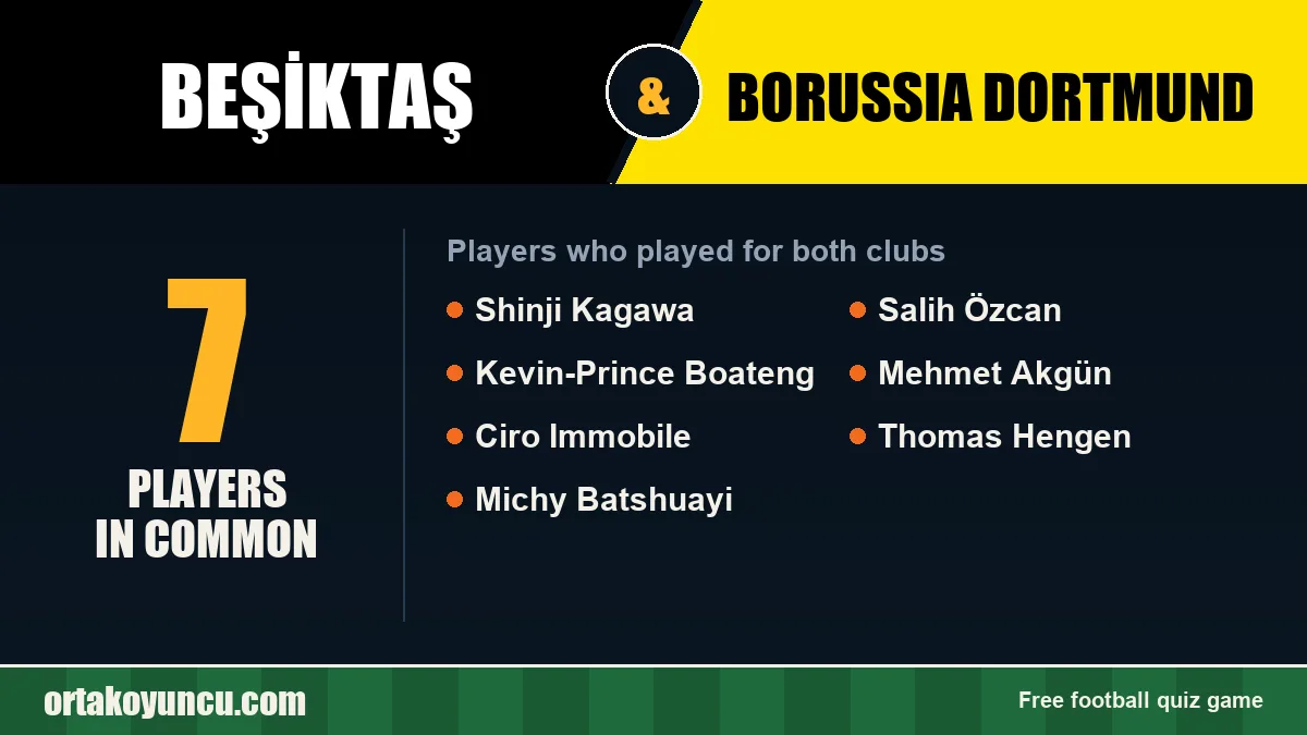Players who played for both Beşiktaş and Borussia Dortmund: 7 players