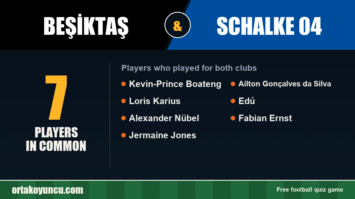 Players who played for both Beşiktaş and Schalke 04: 7 players