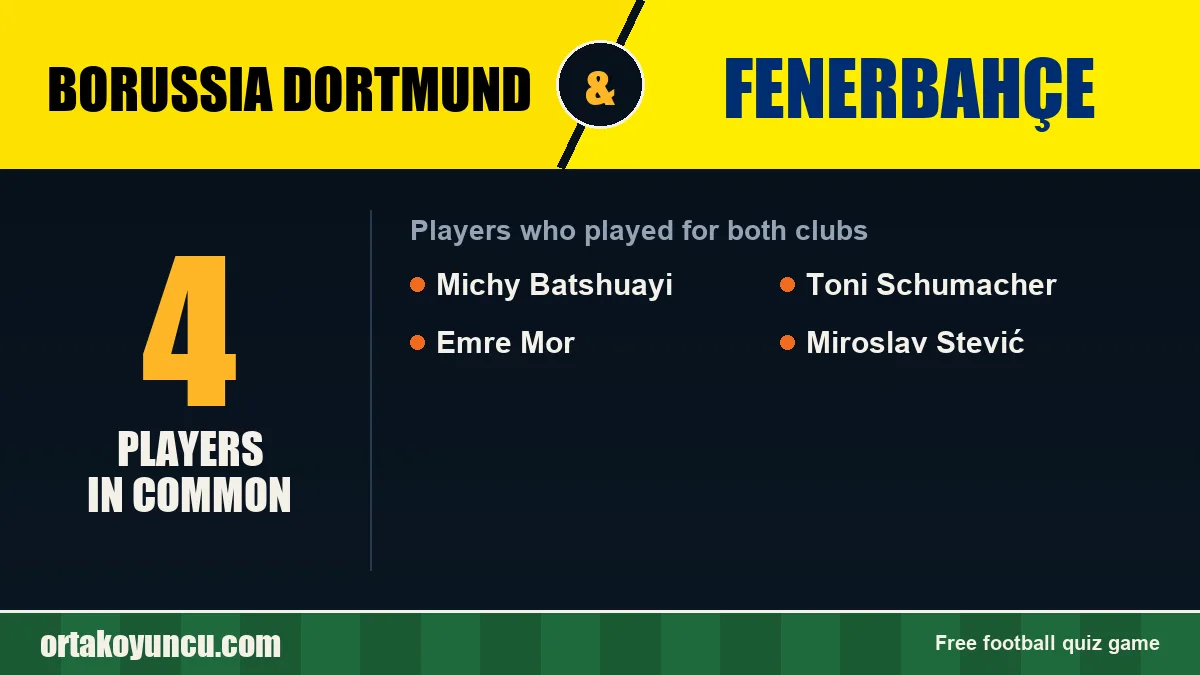 Players who played for both Borussia Dortmund and Fenerbahçe: 4 players