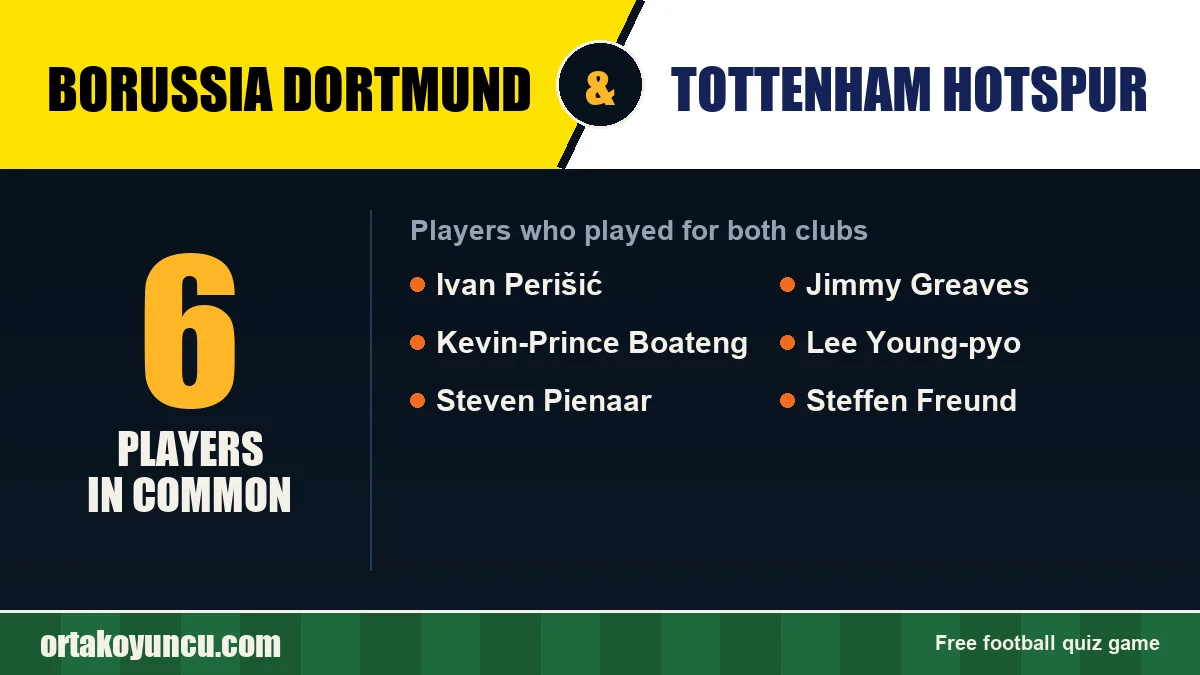 Players who played for both Borussia Dortmund and Tottenham Hotspur: 6 players