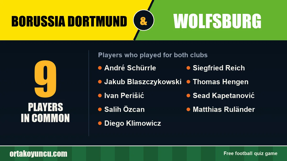 Players who played for both Borussia Dortmund and Wolfsburg: 9 players