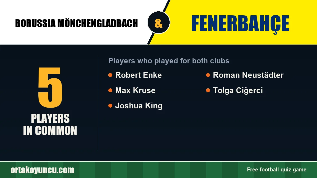 Players who played for both Borussia Mönchengladbach and Fenerbahçe: 5 players