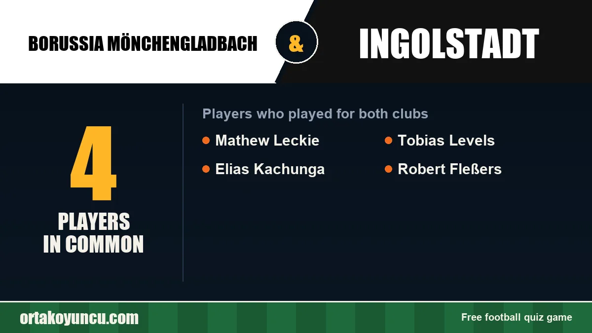 Players who played for both Borussia Mönchengladbach and Ingolstadt: 4 players