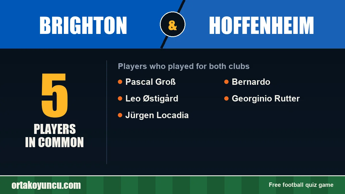 Players who played for both Brighton and Hoffenheim: 5 players