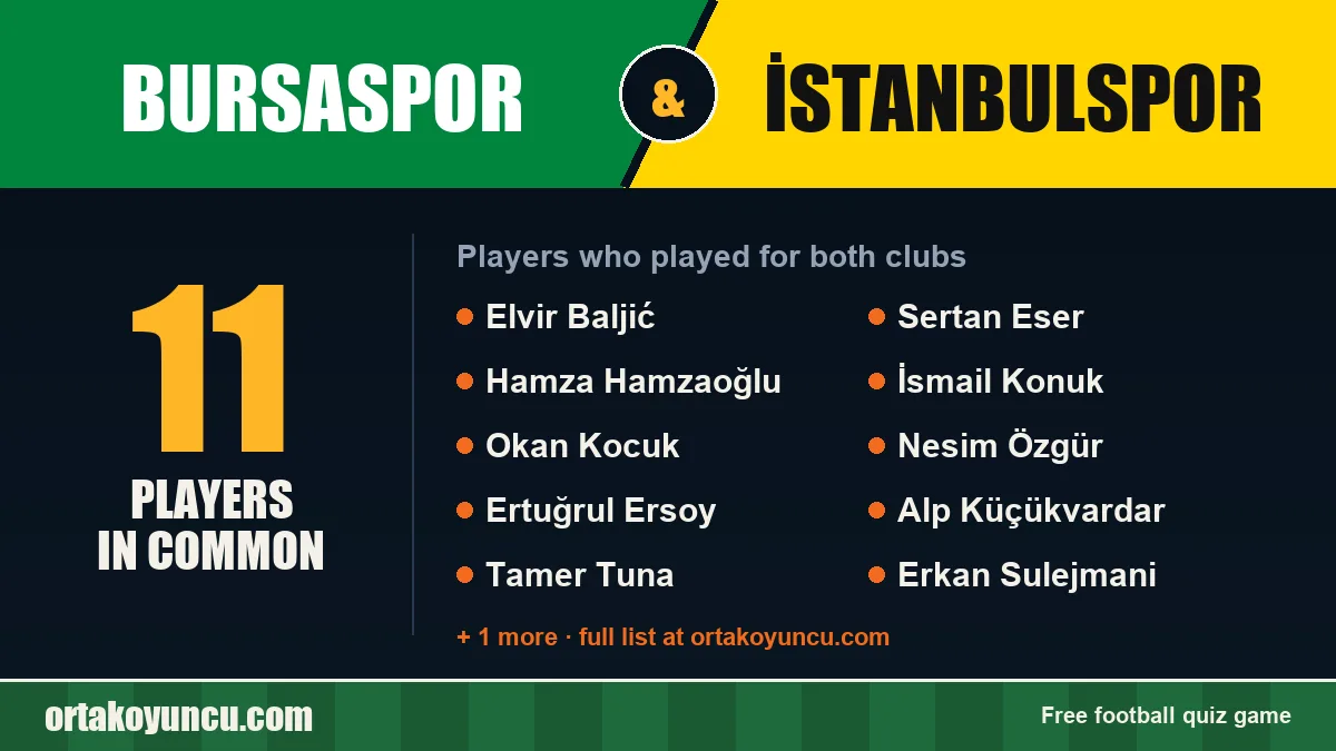Players who played for both Bursaspor and İstanbulspor: 11 players