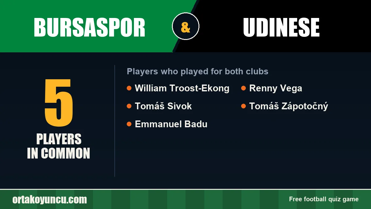 Players who played for both Bursaspor and Udinese: 5 players