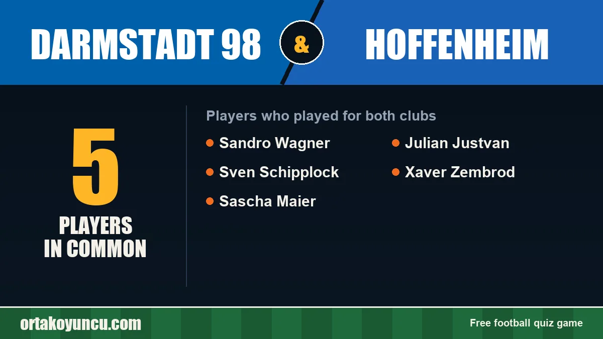 Players who played for both Darmstadt 98 and Hoffenheim: 5 players