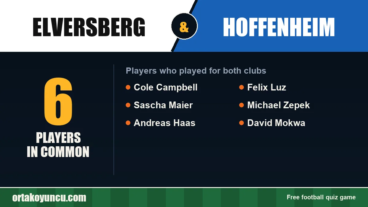 Players who played for both Elversberg and Hoffenheim: 6 players