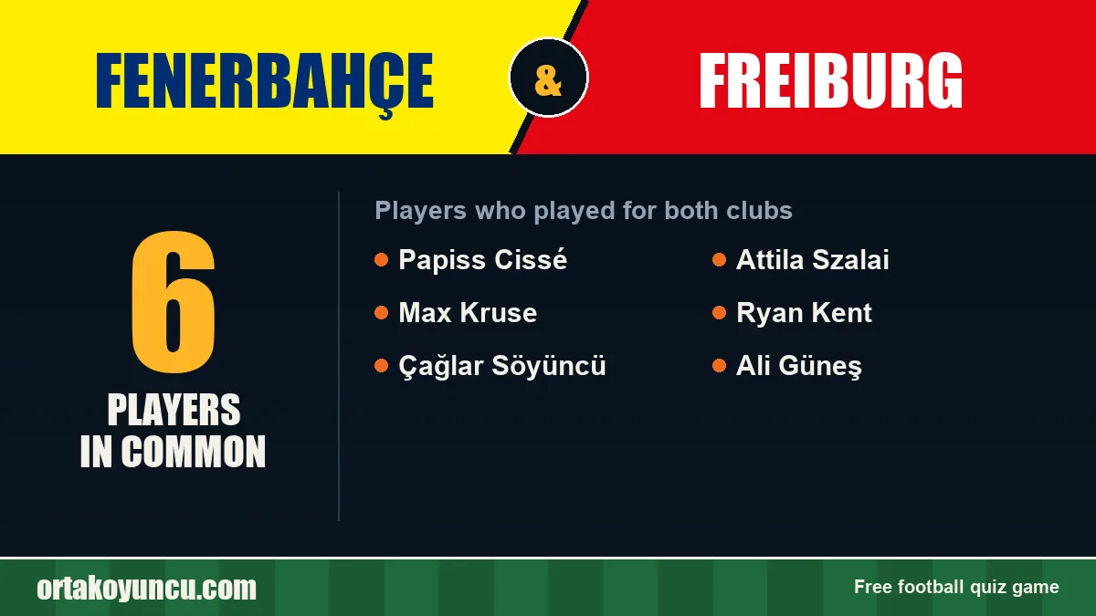 Players who played for both Fenerbahçe and Freiburg: 6 players