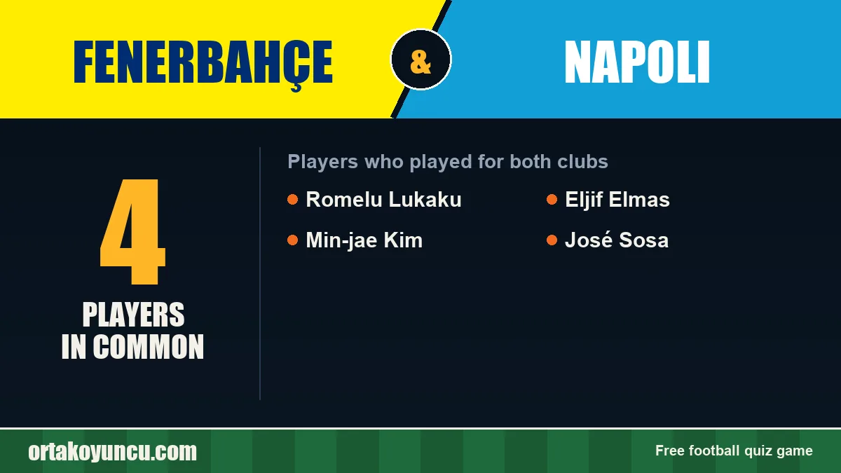 Players who played for both Fenerbahçe and Napoli: 4 players