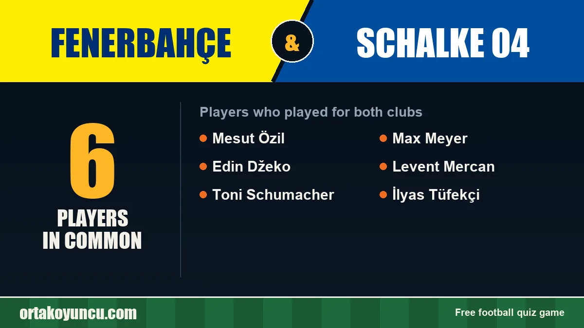 Players who played for both Fenerbahçe and Schalke 04: 6 players