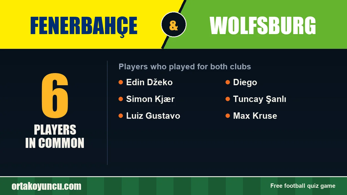Players who played for both Fenerbahçe and Wolfsburg: 6 players