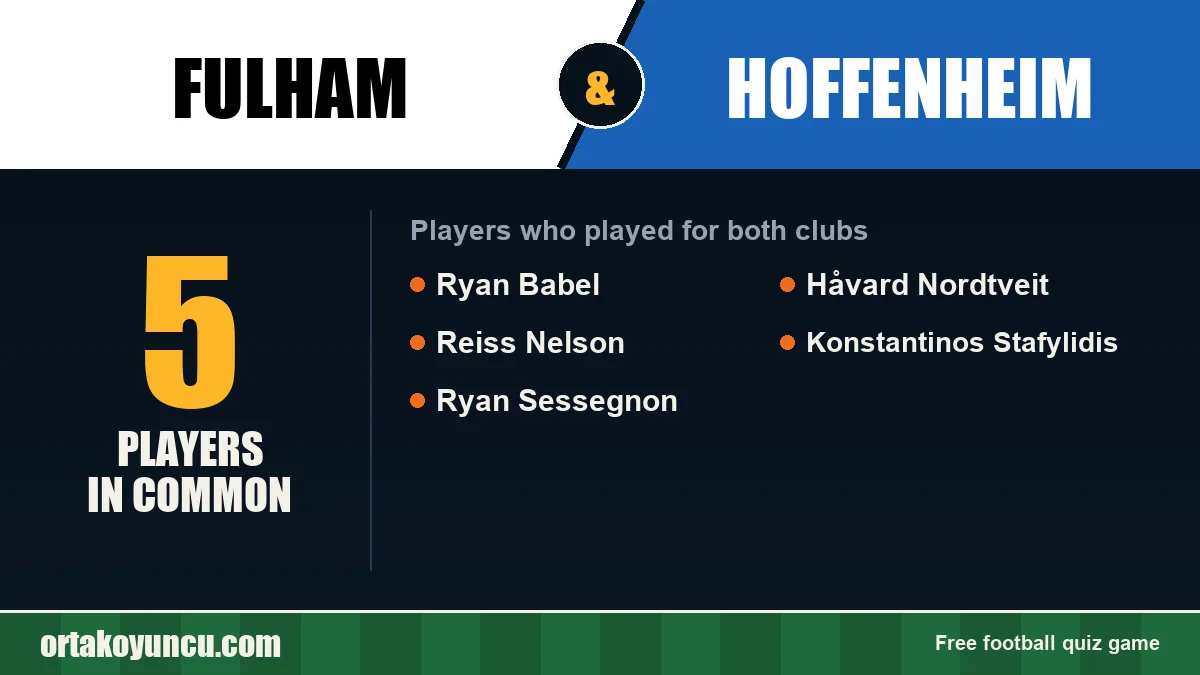 Players who played for both Fulham and Hoffenheim: 5 players