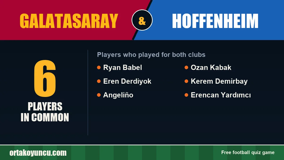 Players who played for both Galatasaray and Hoffenheim: 6 players
