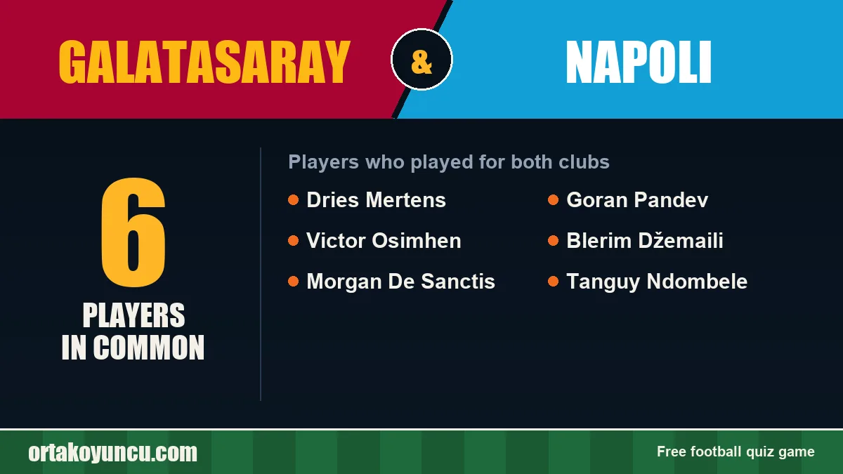 Players who played for both Galatasaray and Napoli: 6 players