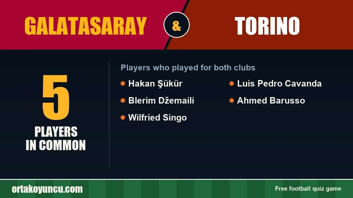 Players who played for both Galatasaray and Torino: 5 players