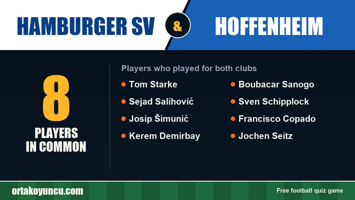 Players who played for both Hamburger SV and Hoffenheim: 8 players