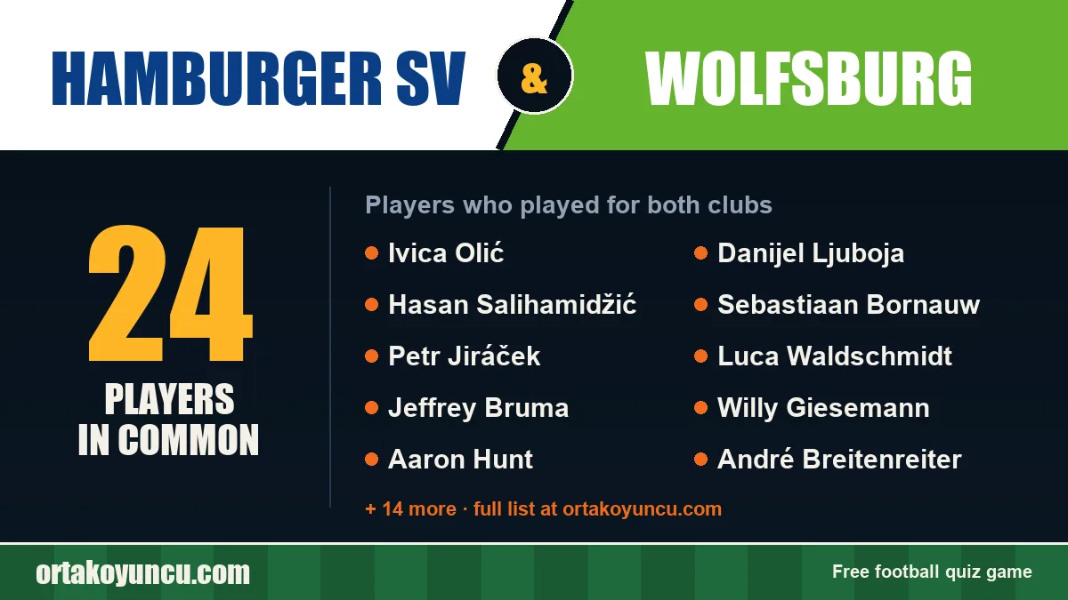 Players who played for both Hamburger SV and Wolfsburg: 24 players