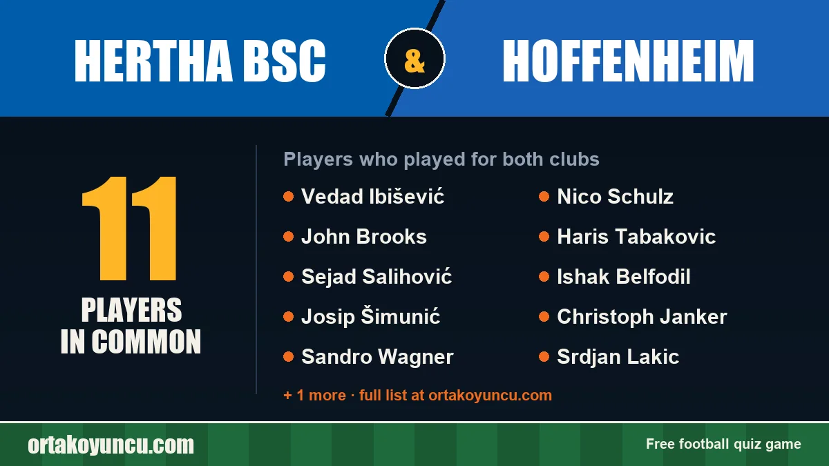 Players who played for both Hertha BSC and Hoffenheim: 11 players