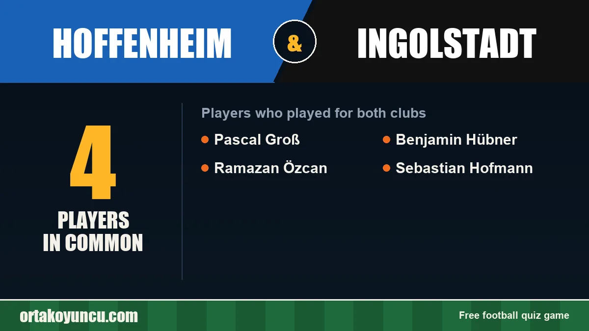 Players who played for both Hoffenheim and Ingolstadt: 4 players