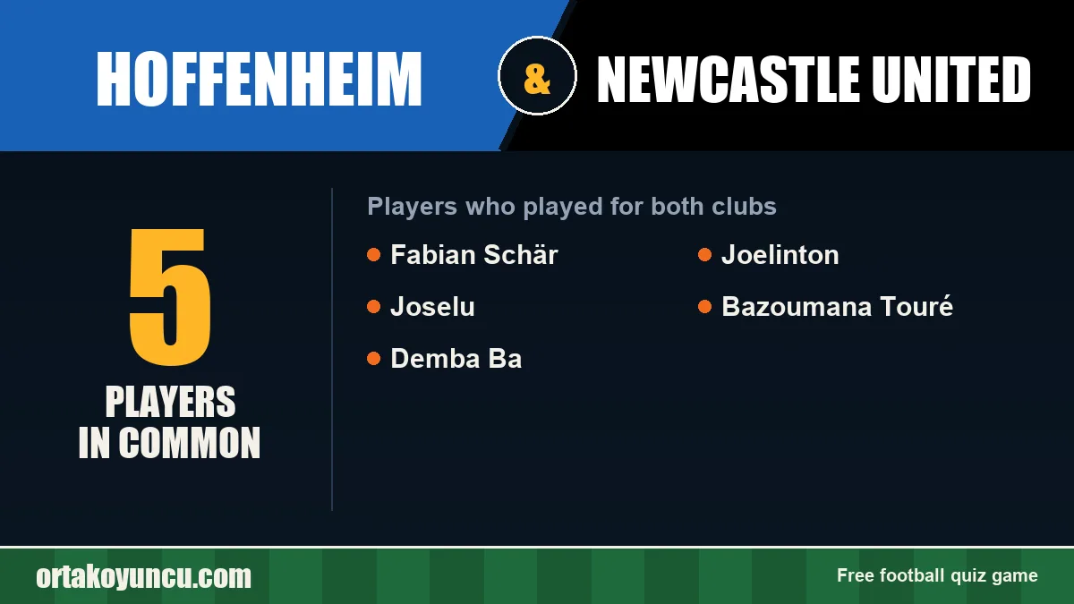 Players who played for both Hoffenheim and Newcastle United: 5 players
