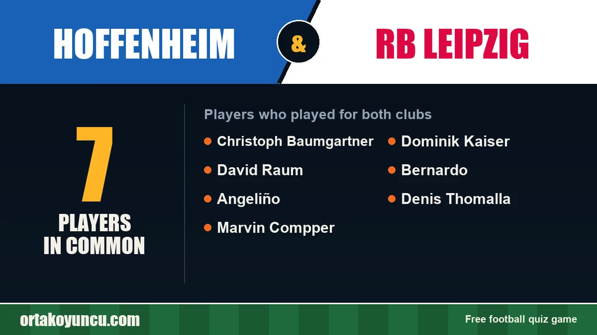 Players who played for both Hoffenheim and RB Leipzig: 7 players
