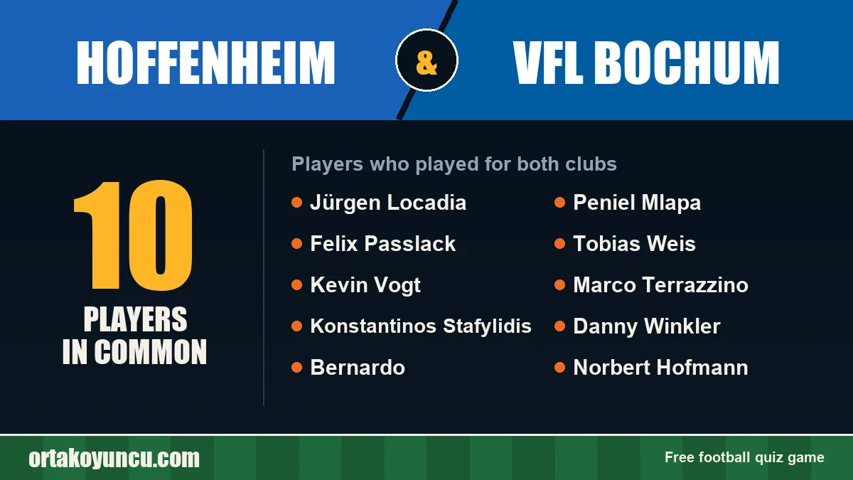 Players who played for both Hoffenheim and VfL Bochum: 10 players