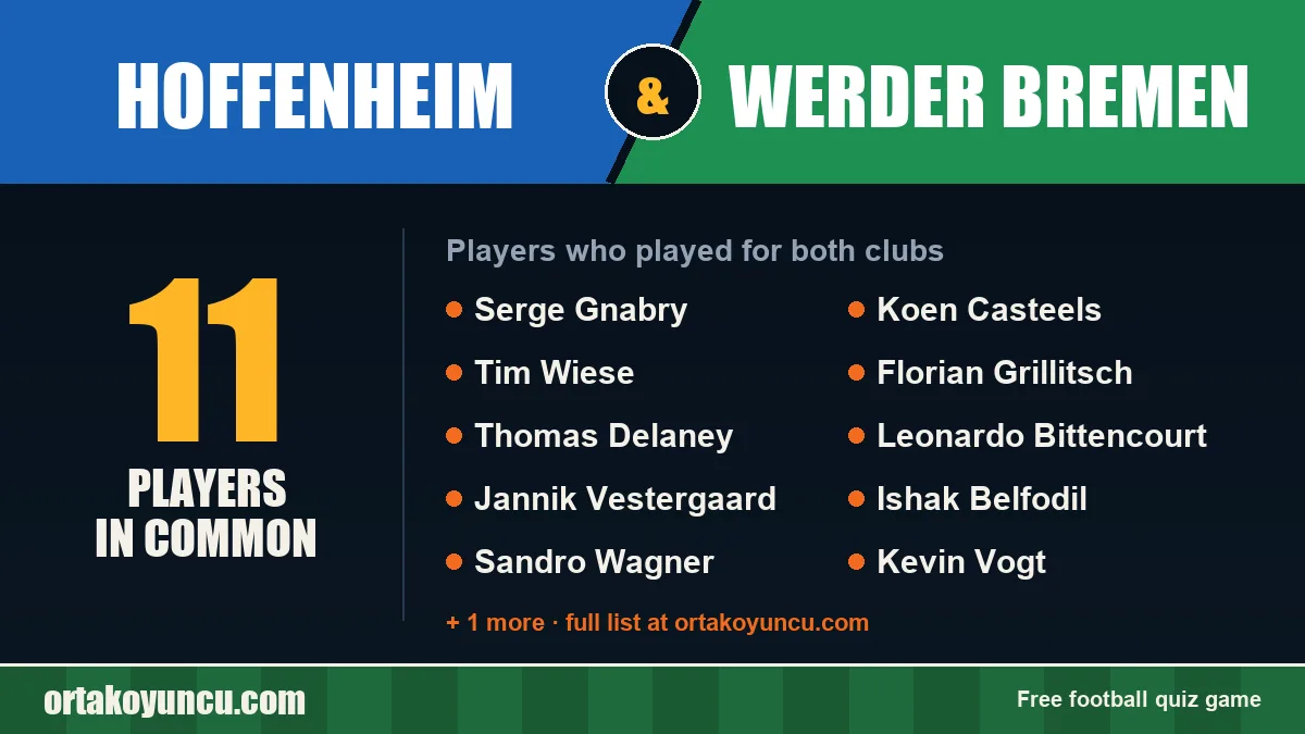 Players who played for both Hoffenheim and Werder Bremen: 11 players
