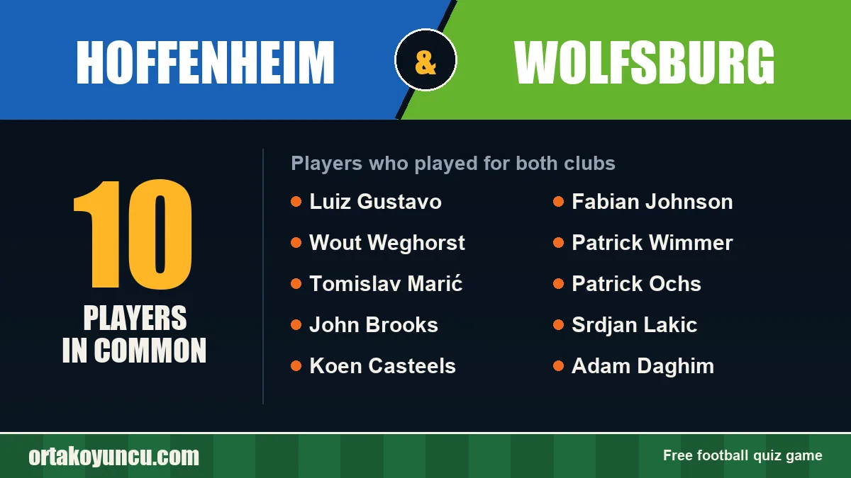 Players who played for both Hoffenheim and Wolfsburg: 10 players