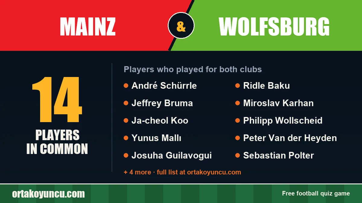 Players who played for both Mainz and Wolfsburg: 14 players