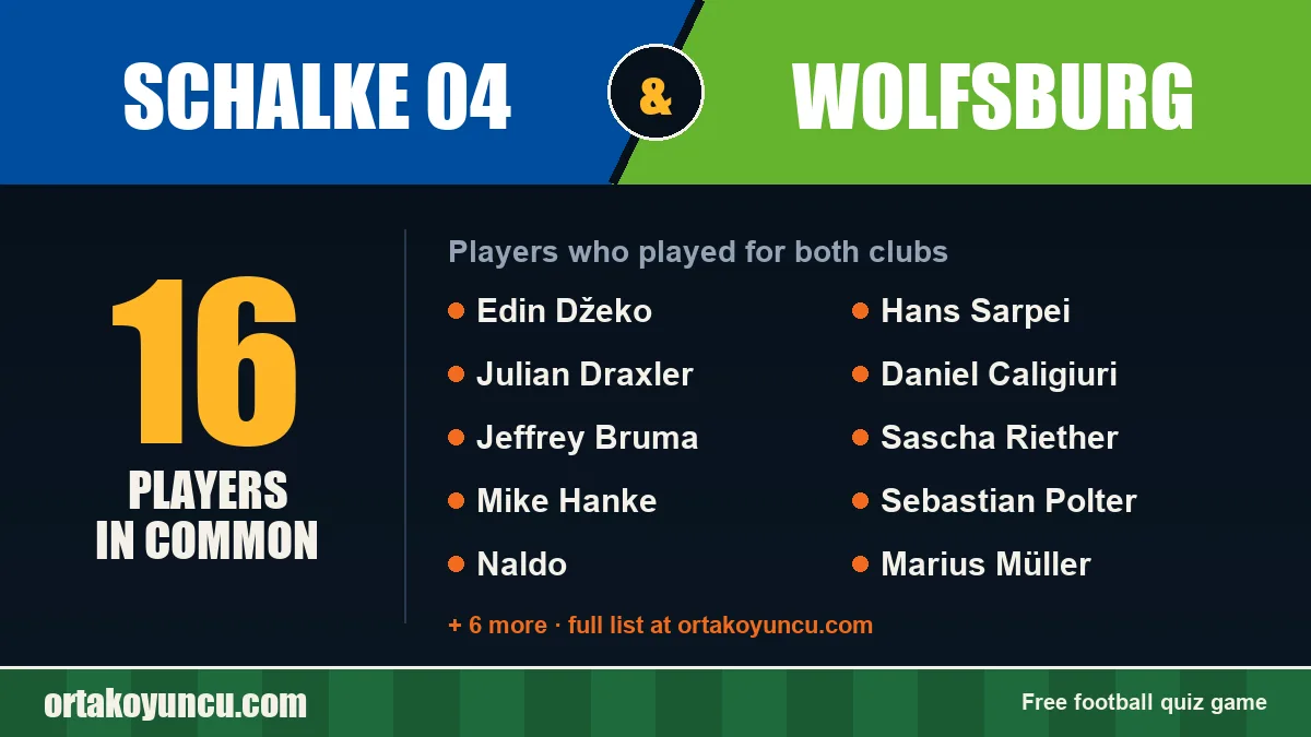 Players who played for both Schalke 04 and Wolfsburg: 16 players