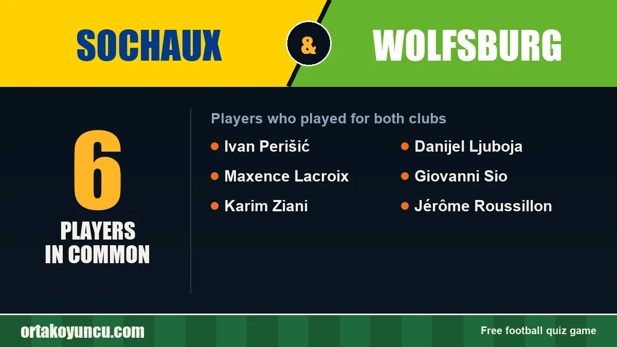Players who played for both Sochaux and Wolfsburg: 6 players