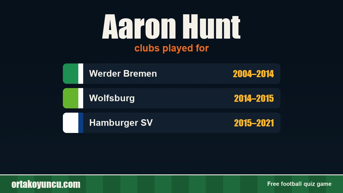 Aaron Hunt: clubs and years