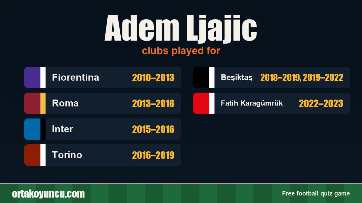 Adem Ljajic: clubs and years