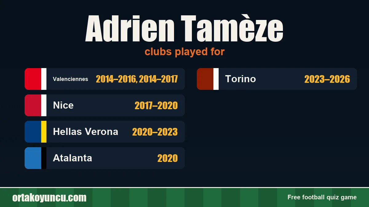 Adrien Tamèze: clubs and years