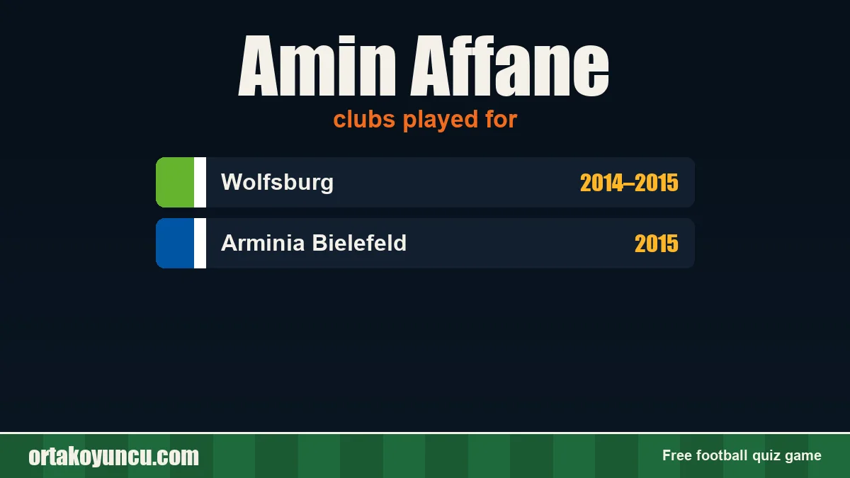 Amin Affane: clubs and years
