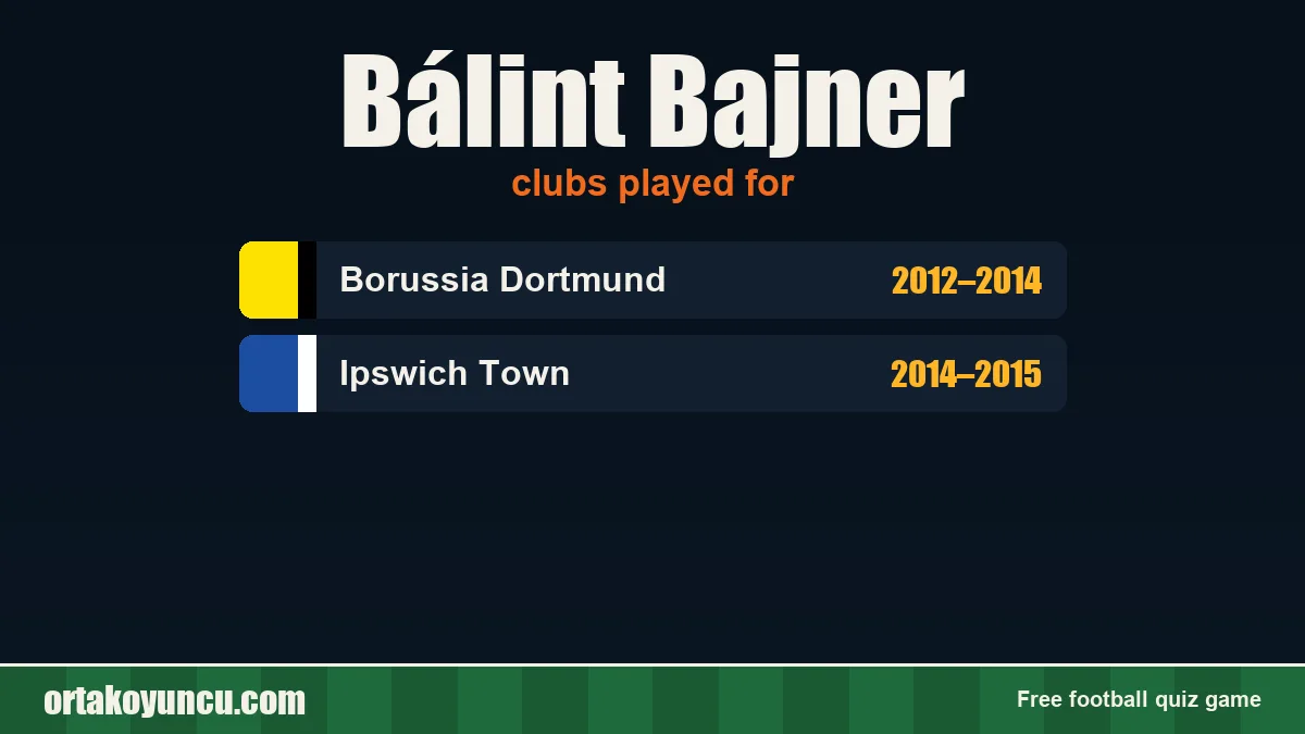 Bálint Bajner: clubs and years