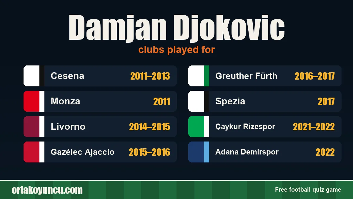 Damjan Djokovic: clubs and years