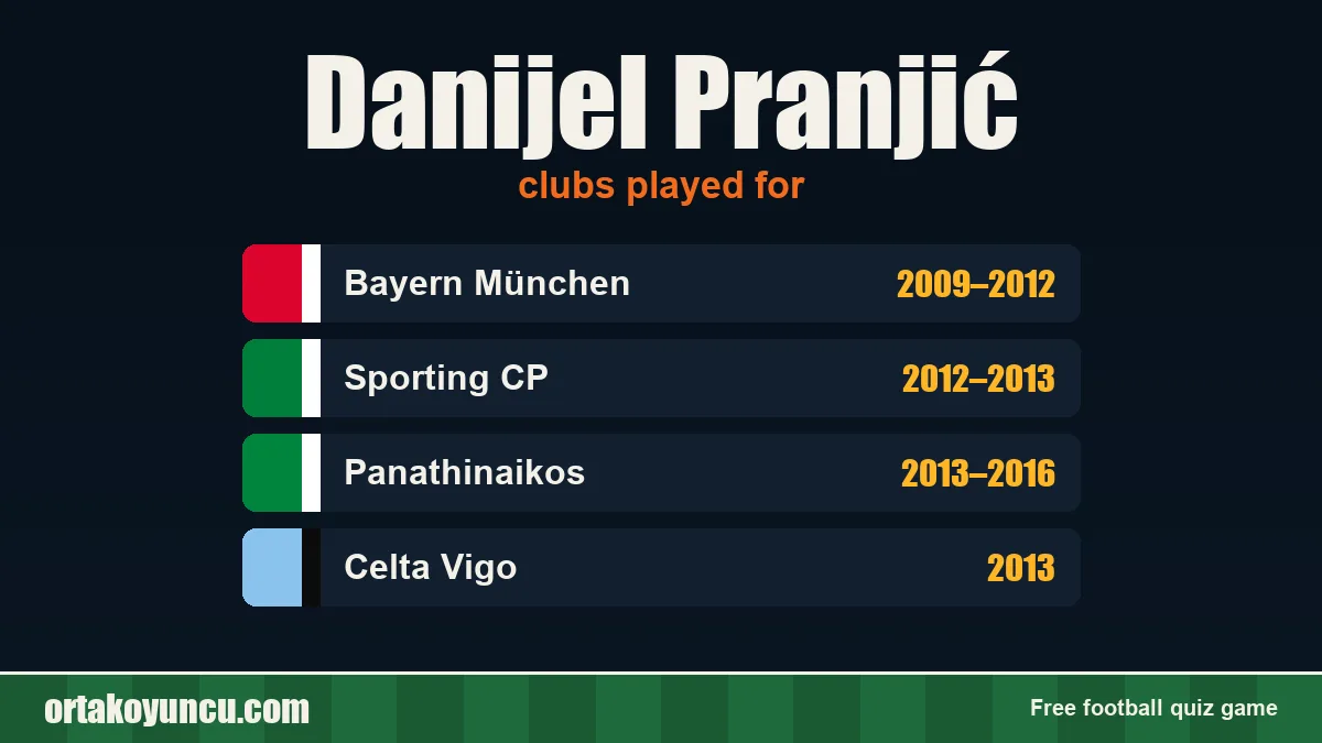 Danijel Pranjić: clubs and years