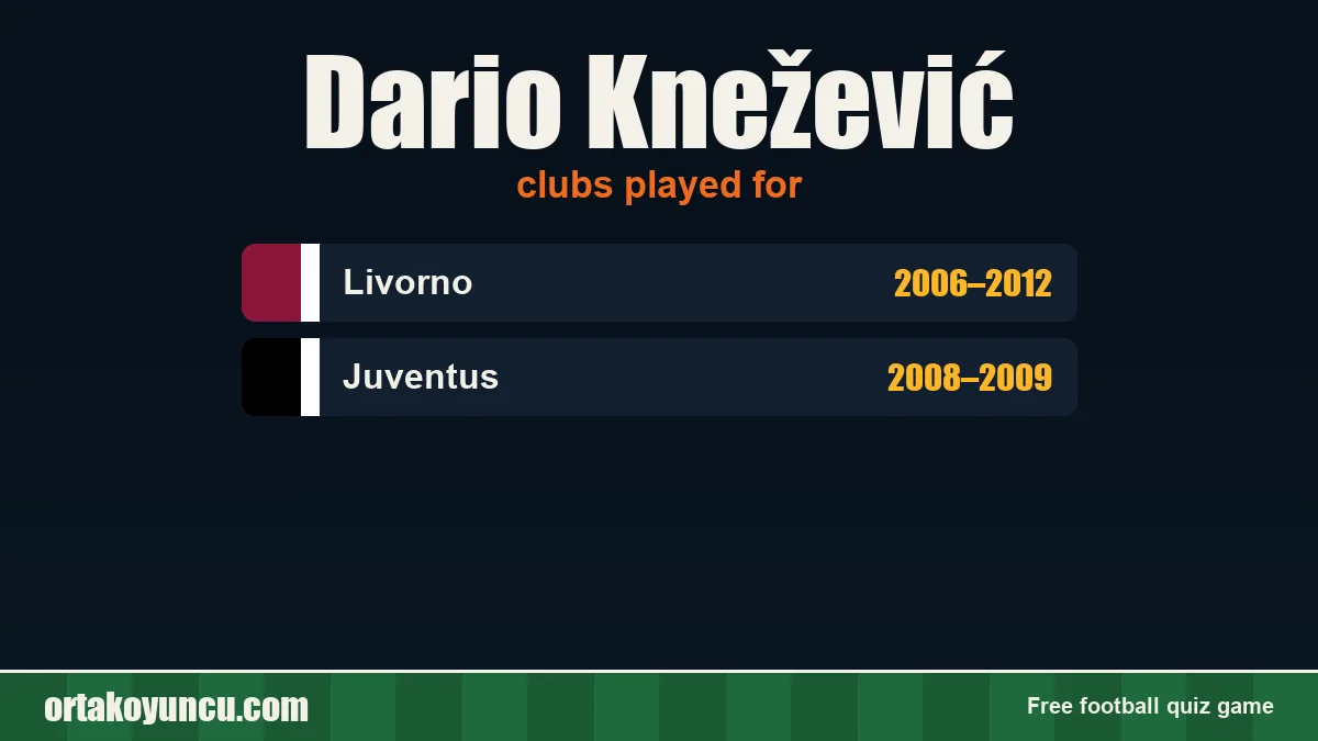 Dario Knežević: clubs and years