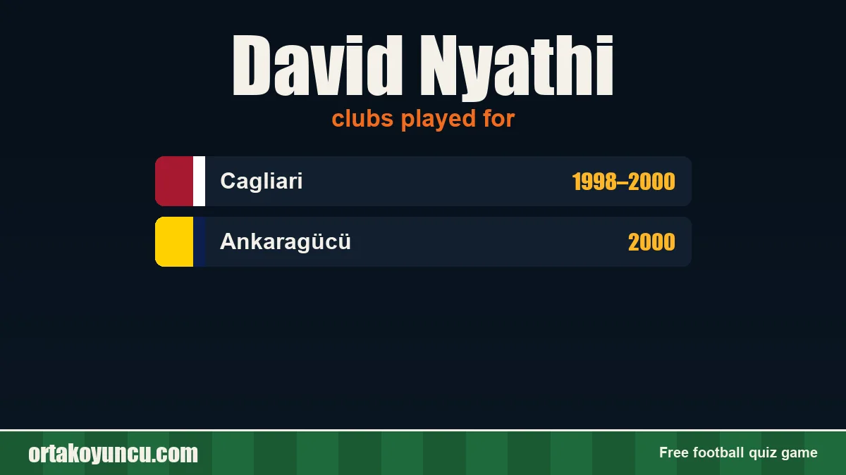 David Nyathi: clubs and years