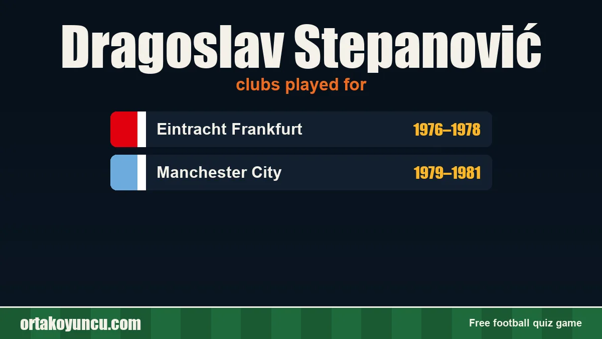 Dragoslav Stepanović: clubs and years
