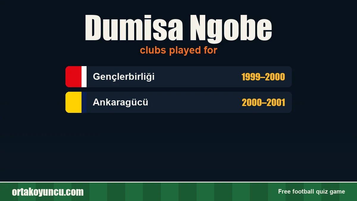 Dumisa Ngobe: clubs and years