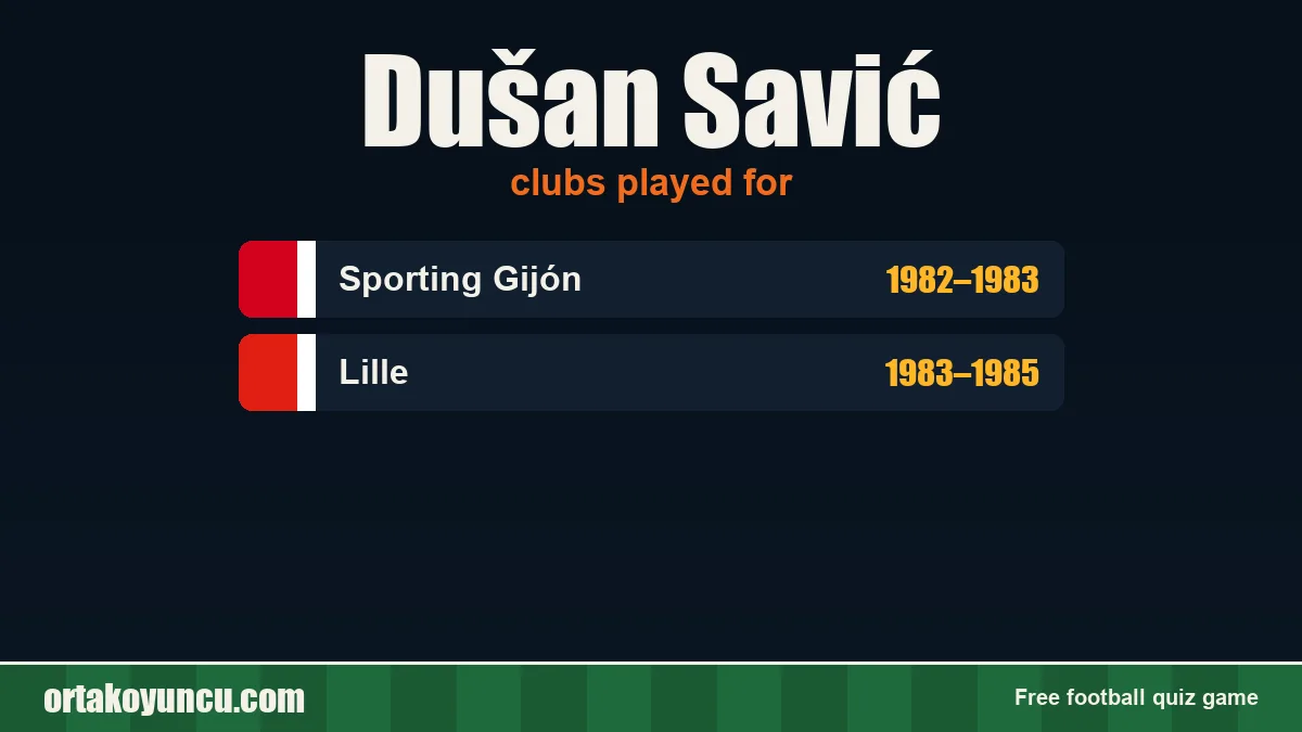 Dušan Savić: clubs and years