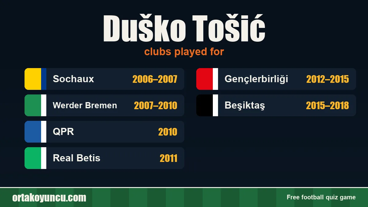 Duško Tošić: clubs and years