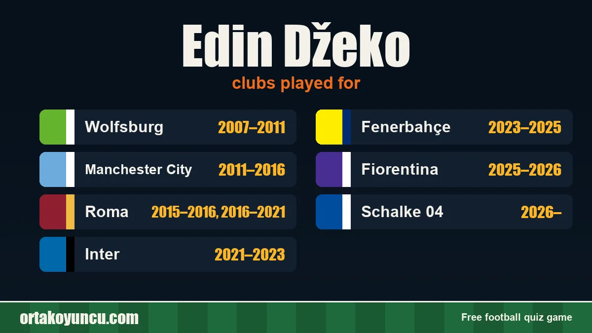 Edin Džeko: clubs and years