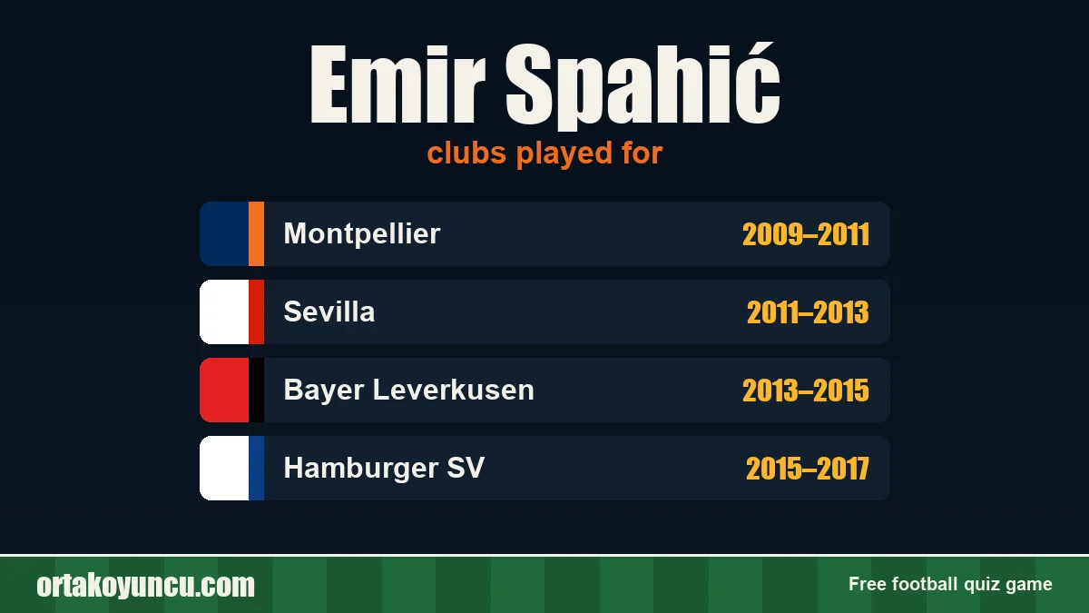 Emir Spahić: clubs and years