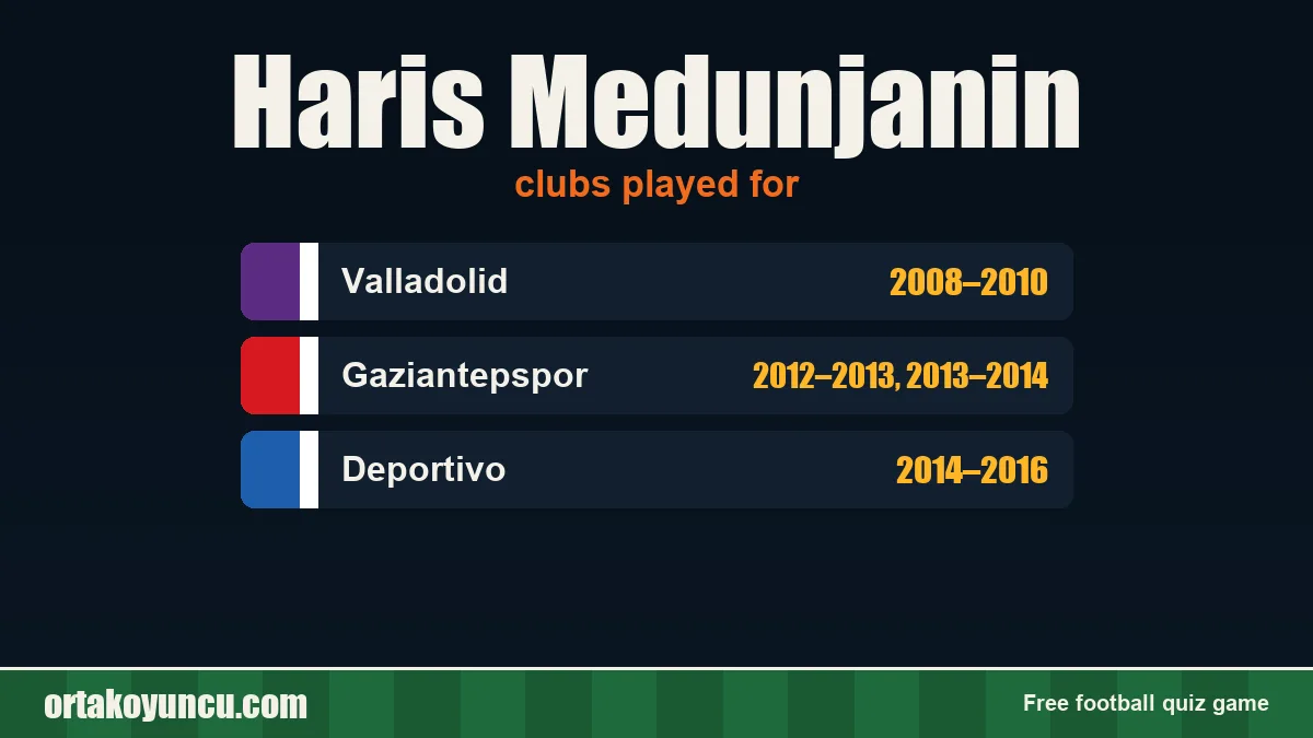 Haris Medunjanin: clubs and years
